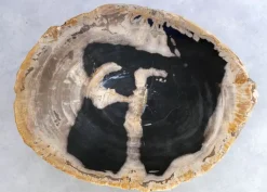 Clearance Beistelltisch Alpha Versteinertes Holz Tische