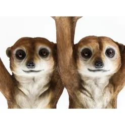 New Beistelltisch Animal Meerkat Sisters O33Cm Tische