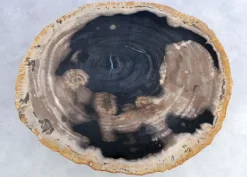 New Beistelltisch Gamma Versteinertes Holz Tische