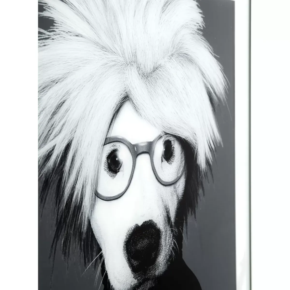 Online Bild Frame Mirror Artist Dog 60X60 Bilder