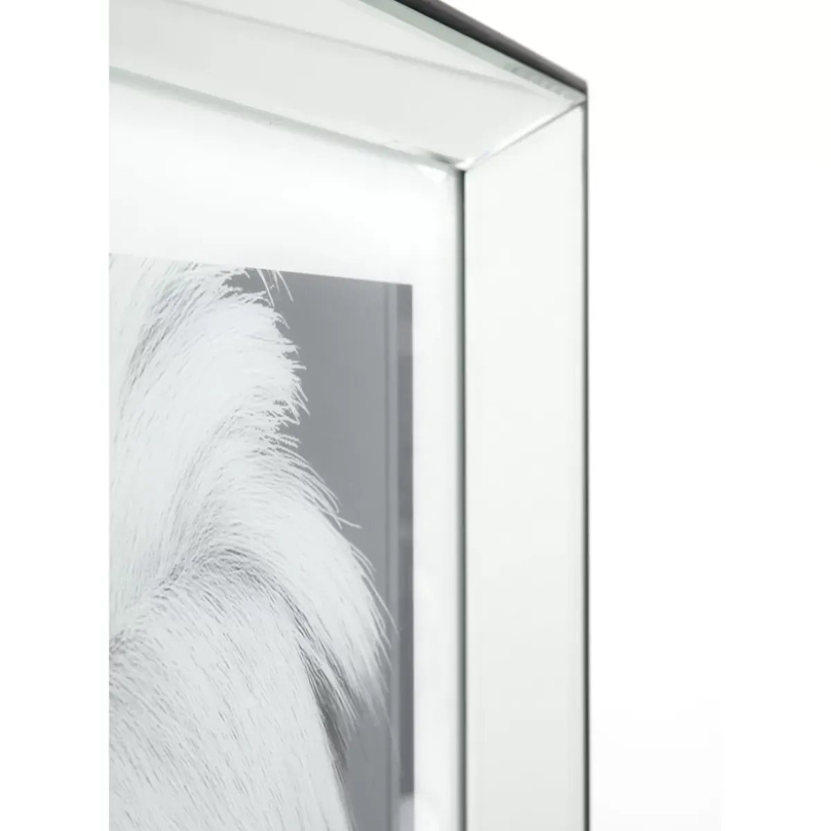 Online Bild Frame Mirror Artist Dog 60X60 Bilder