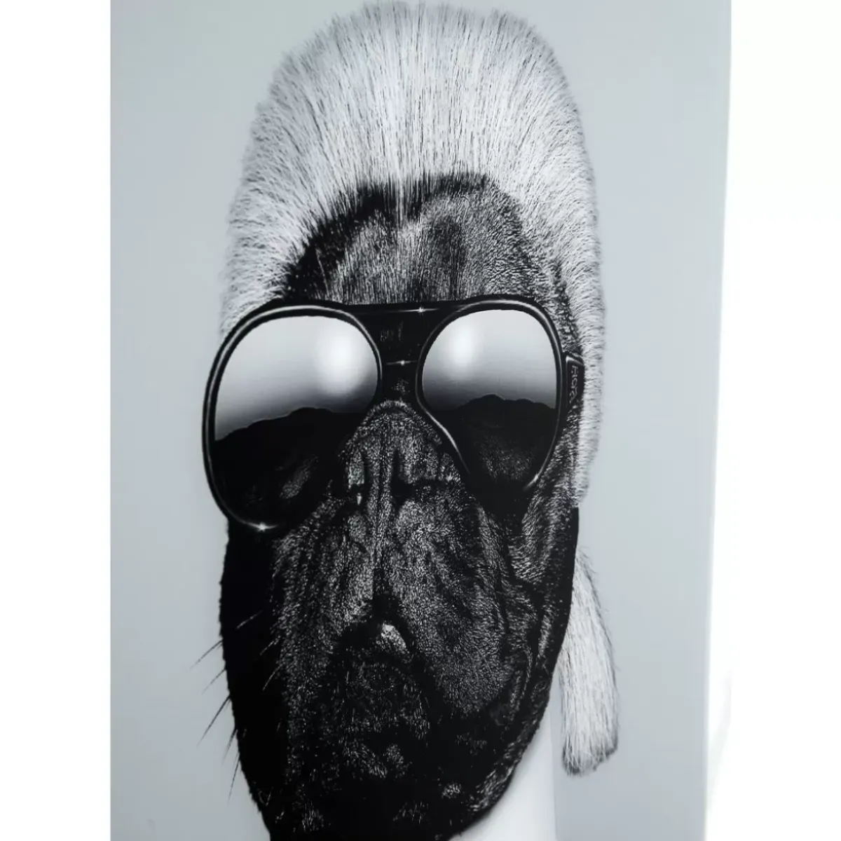 Sale Bild Frame Mirror Designer Dog 60X60 Bilder