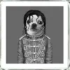 Bild Frame Mirror King Dog 60X60 Bilder