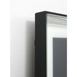 Bild Frame Mirror King Dog 60X60 Bilder