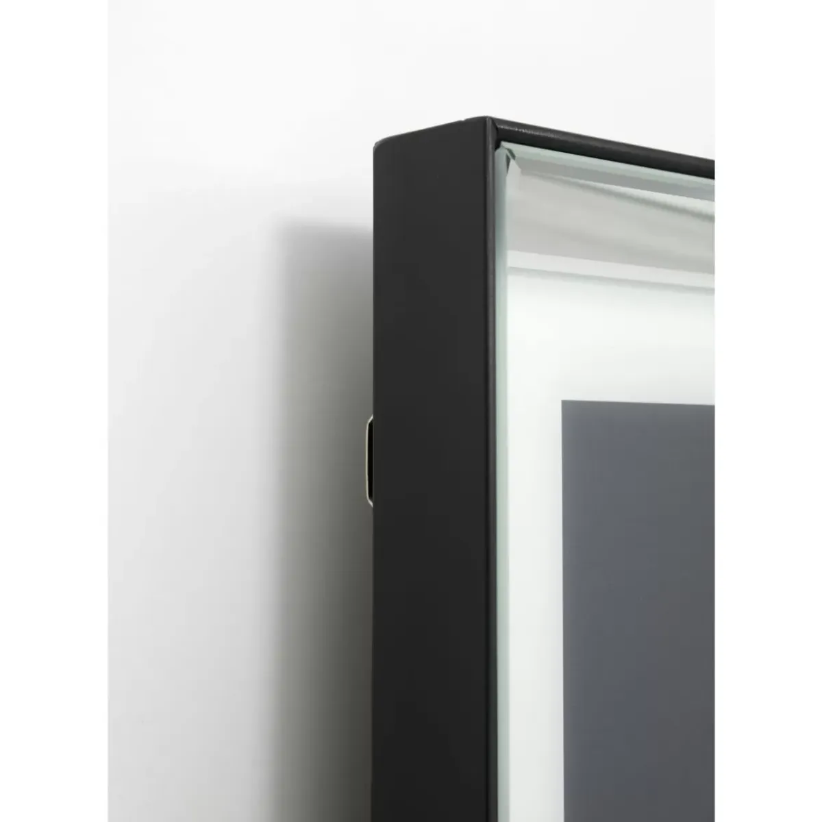Bild Frame Mirror King Dog 60X60 Bilder