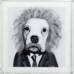 Hot Bild Frame Mirror Smart Dog 60X60 Bilder