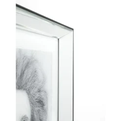 Hot Bild Frame Mirror Smart Dog 60X60 Bilder