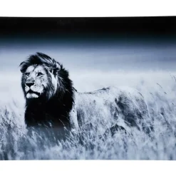 Best Bild Glas Lion King Standing 160X120Cm Bilder
