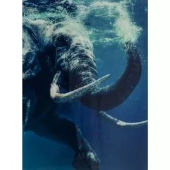 Discount Bild Glas Swimming Elephant 180X120Cm Bilder