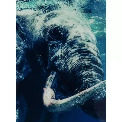 Discount Bild Glas Swimming Elephant 180X120Cm Bilder