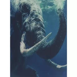 Discount Bild Glas Swimming Elephant 180X120Cm Bilder