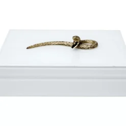 Box Snake Bite Weis 28X7Cm Aufbewahrung & Ordnung