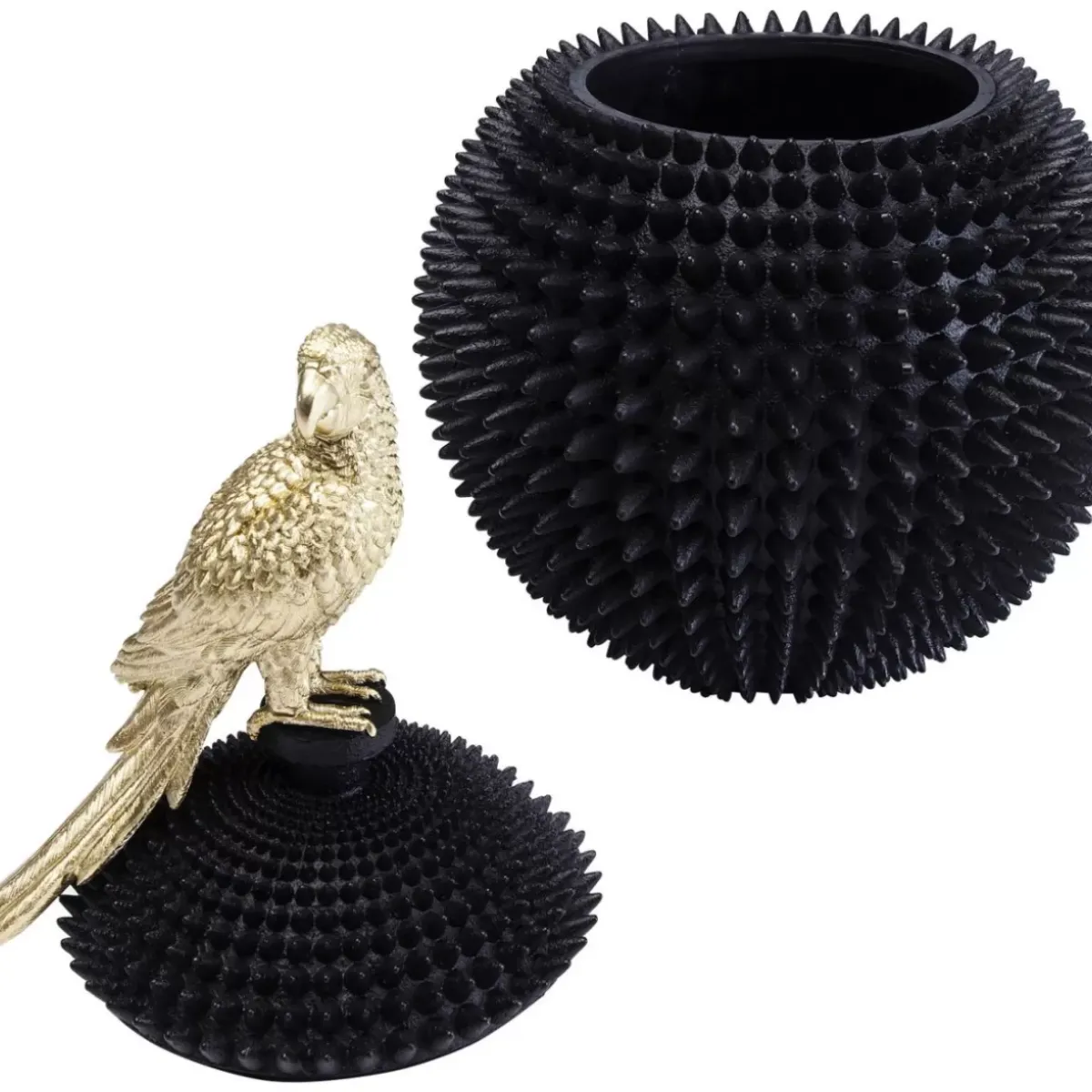 Hot Deko Dose Parrot Deko & Geschenkartikel