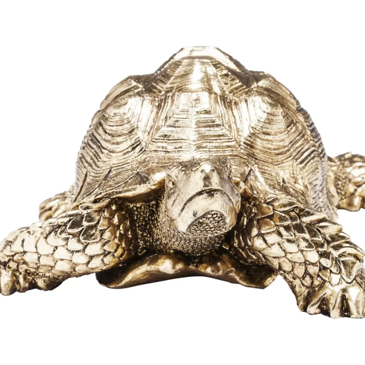 Discount Deko Figur Turtle Gold Klein Deko & Geschenkartikel