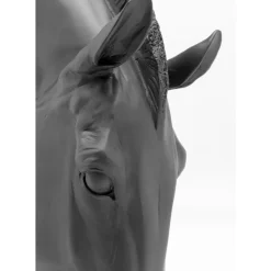 Deko Objekt Horse Face Schwarz 57Cm Deko & Geschenkartikel