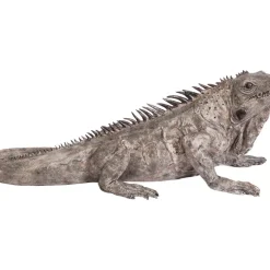 Deko Objekt Iguana 135Cm Deko & Geschenkartikel