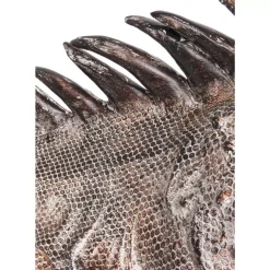 Deko Objekt Iguana 135Cm Deko & Geschenkartikel