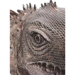 Deko Objekt Iguana 135Cm Deko & Geschenkartikel