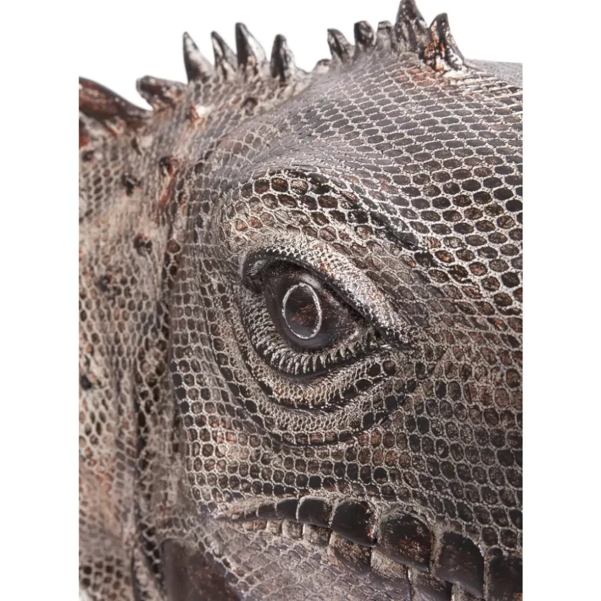 Deko Objekt Iguana 135Cm Deko & Geschenkartikel