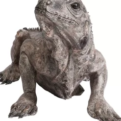 Deko Objekt Iguana 135Cm Deko & Geschenkartikel