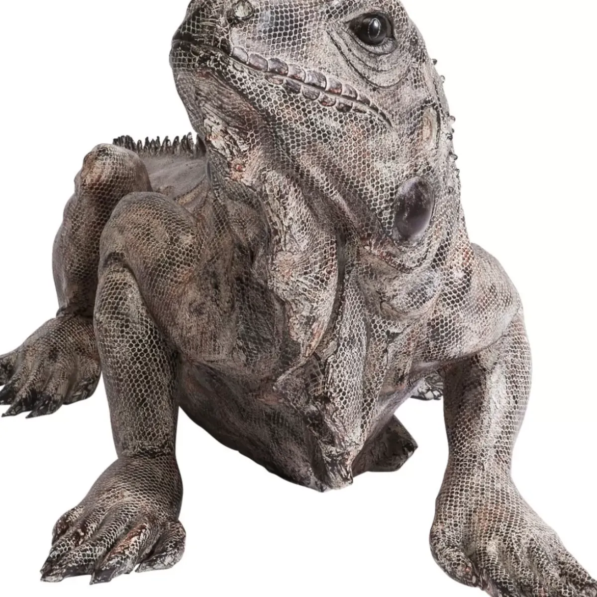 Deko Objekt Iguana 135Cm Deko & Geschenkartikel