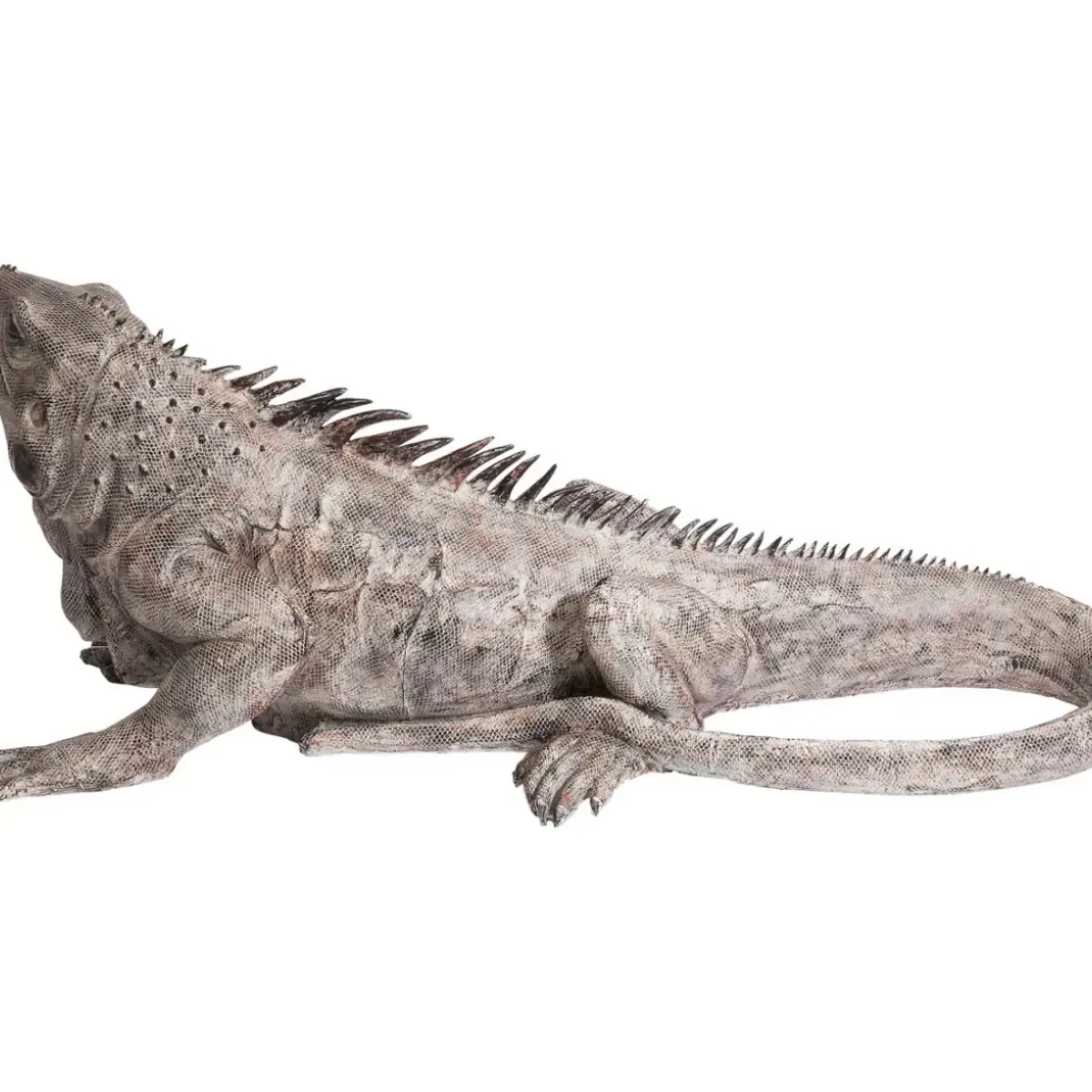 Deko Objekt Iguana 135Cm Deko & Geschenkartikel