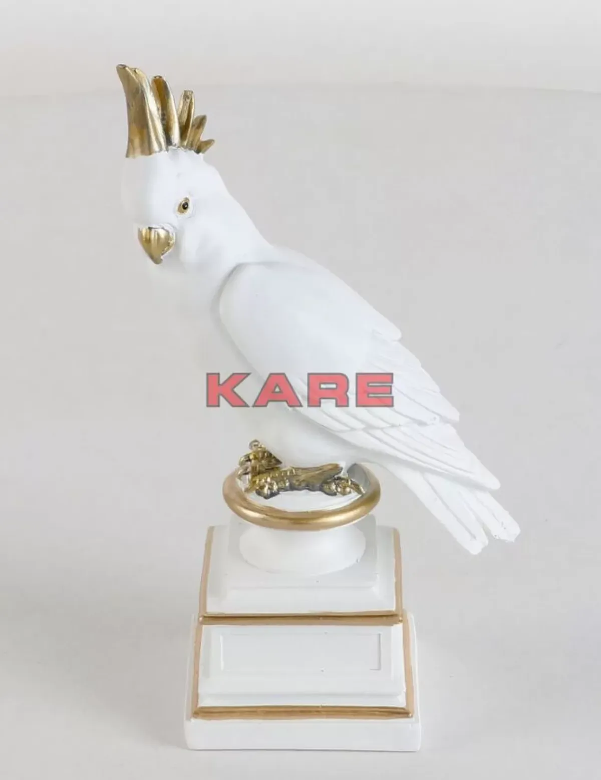 Deko Objekt Proud Parrot Deko & Geschenkartikel