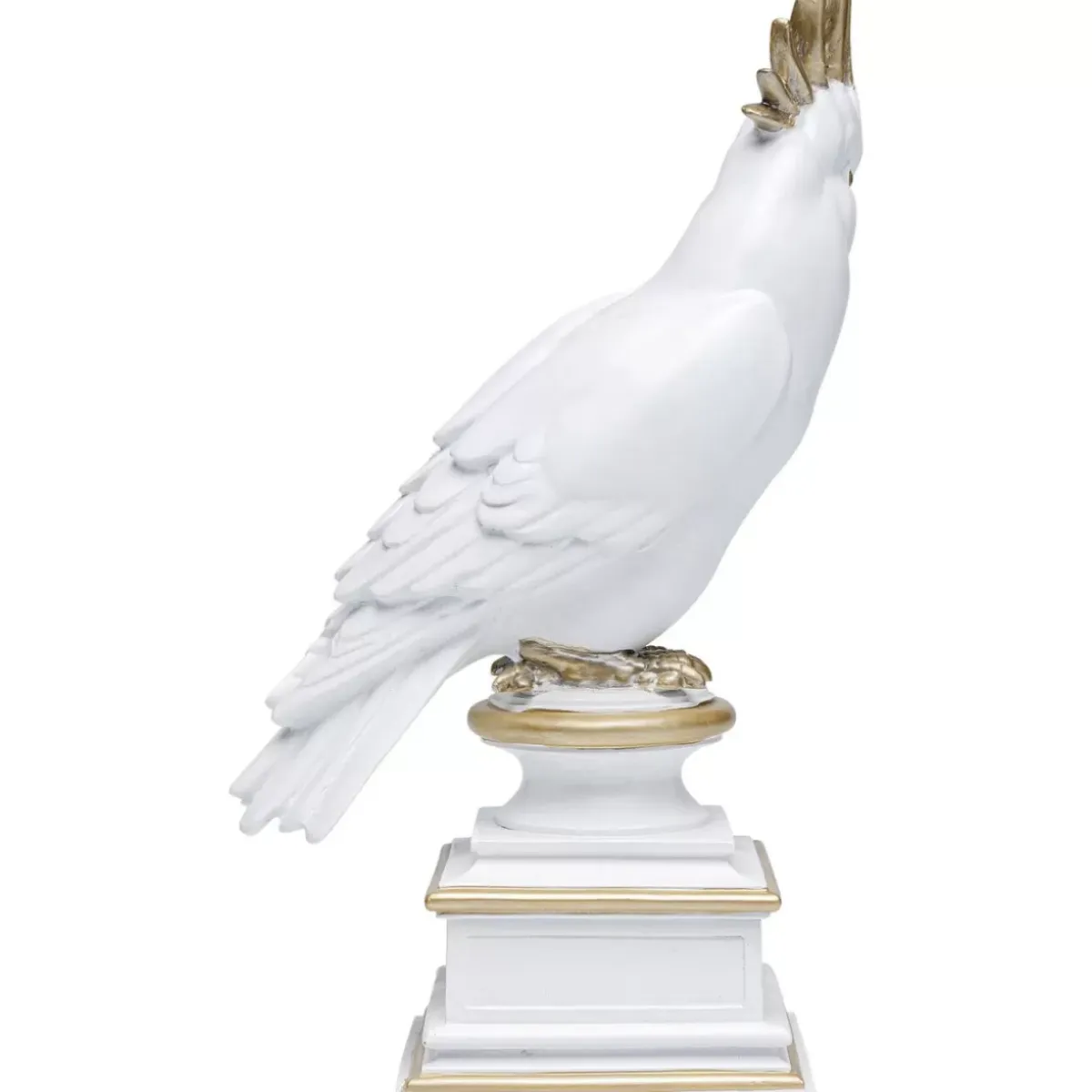 Deko Objekt Proud Parrot Deko & Geschenkartikel