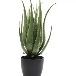 Clearance Deko Pflanze Aloe 69Cm Deko & Geschenkartikel
