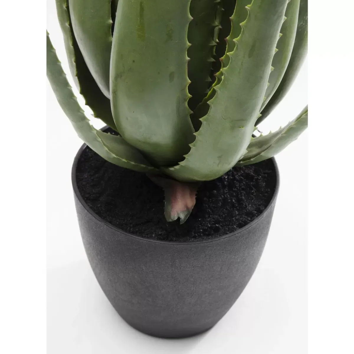 Clearance Deko Pflanze Aloe 69Cm Deko & Geschenkartikel