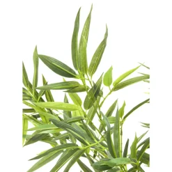Discount Deko Pflanze Bamboo Tree 200Cm Deko & Geschenkartikel