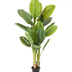 Deko Pflanze Banana Tree 180Cm Deko & Geschenkartikel