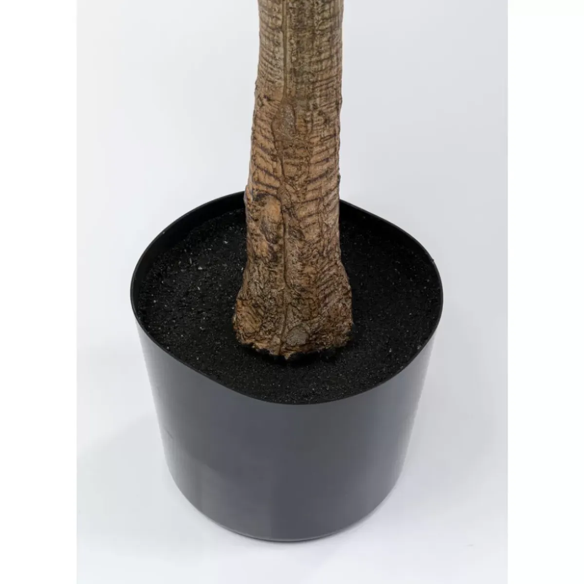 Online Deko Pflanze Dracaena Fragrans 180Cm Deko & Geschenkartikel