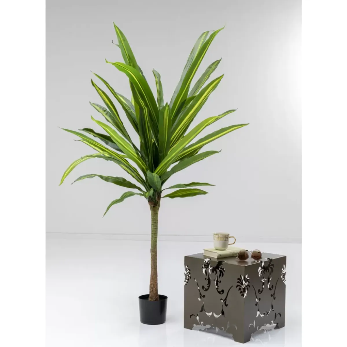Online Deko Pflanze Dracaena Fragrans 180Cm Deko & Geschenkartikel