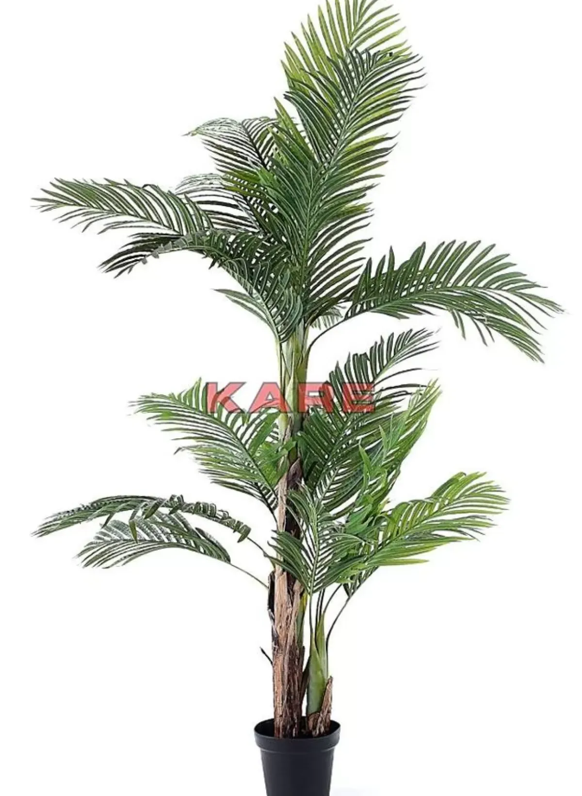 Sale Deko Pflanze Palm Tree 190 Deko & Geschenkartikel