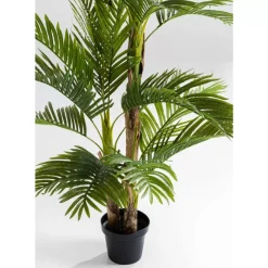 Sale Deko Pflanze Palm Tree 190 Deko & Geschenkartikel
