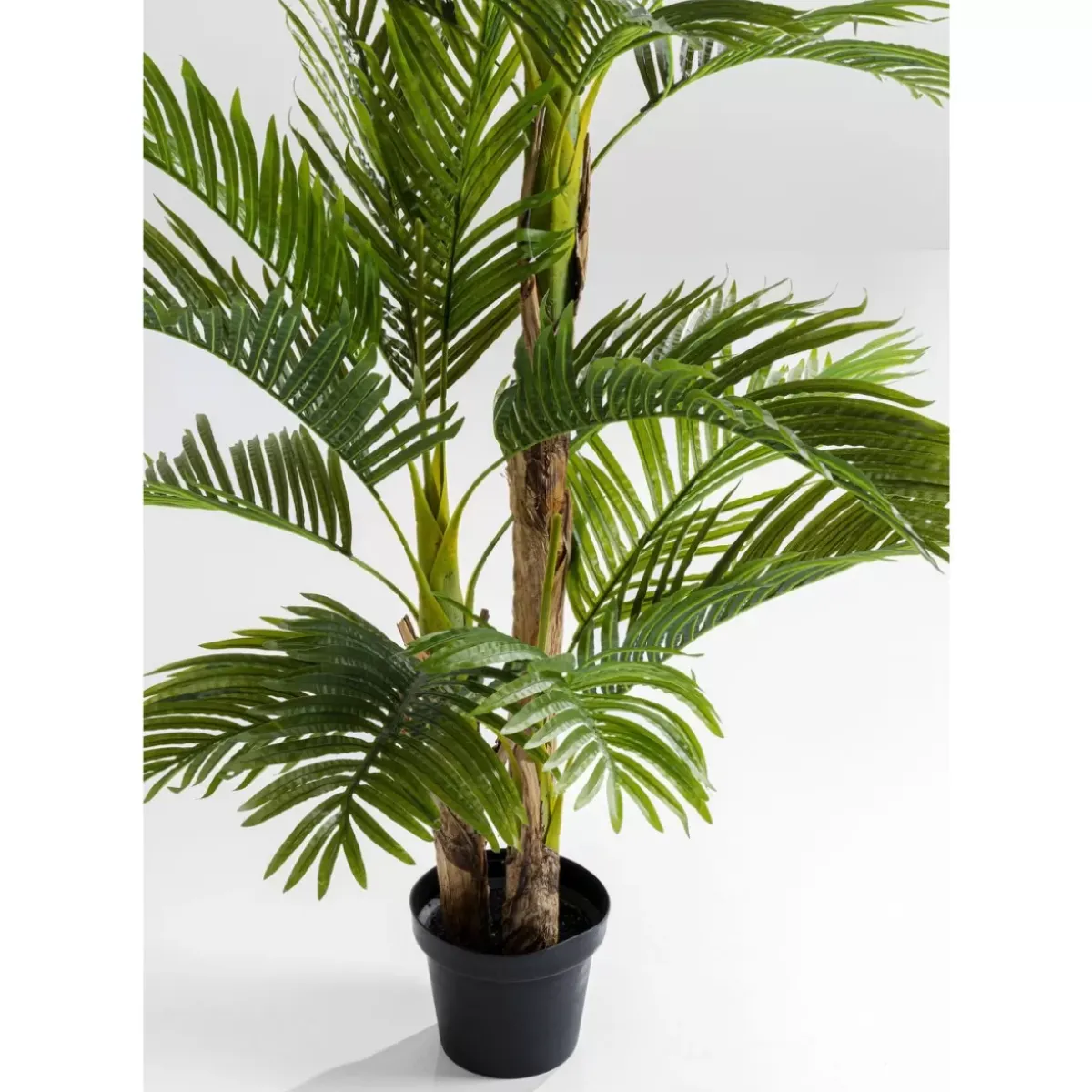 Sale Deko Pflanze Palm Tree 190 Deko & Geschenkartikel
