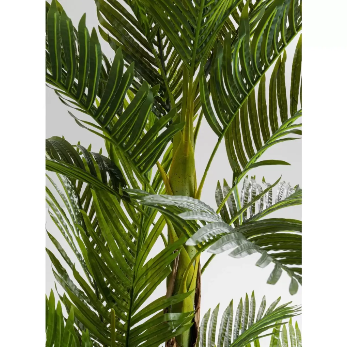 Sale Deko Pflanze Palm Tree 190 Deko & Geschenkartikel