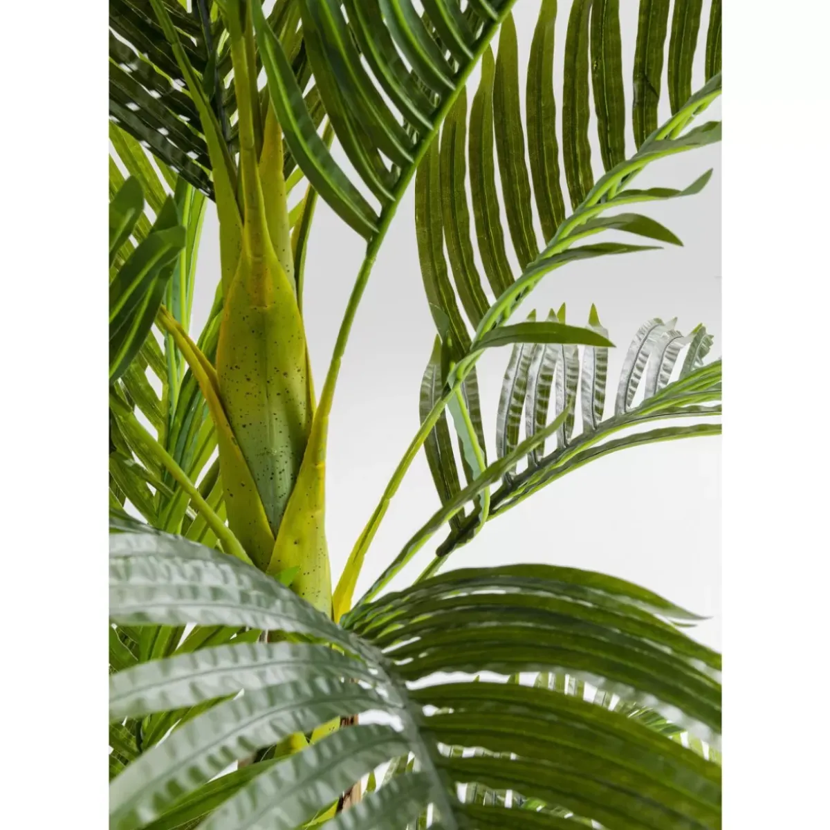 Sale Deko Pflanze Palm Tree 190 Deko & Geschenkartikel