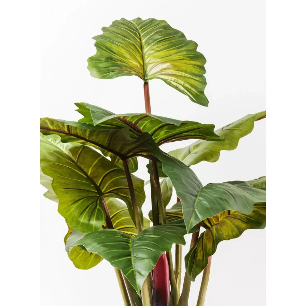 Hot Deko Pflanze Rainforest Green 160Cm Deko & Geschenkartikel