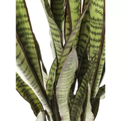 New Deko Pflanze Sansewieria 155Cm Deko & Geschenkartikel