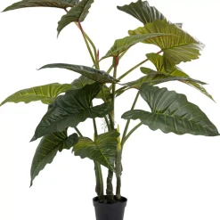 Deko Pflanze Taro 180 Deko & Geschenkartikel