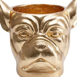 Clearance Deko Ubertopf Bulldog Gold Aufbewahrung & Ordnung