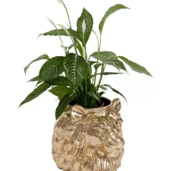 Deko Ubertopf Lion Gold Aufbewahrung & Ordnung