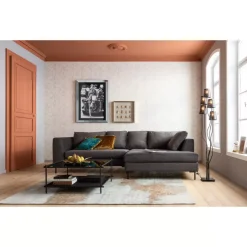 Discount Ecksofa Gianni Velvet Grau Rechts Schwarz Sofas & Couches