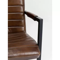 Freischwinger Lola Leder Braun Stühle
