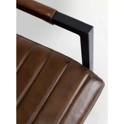 Freischwinger Lola Leder Braun Stühle
