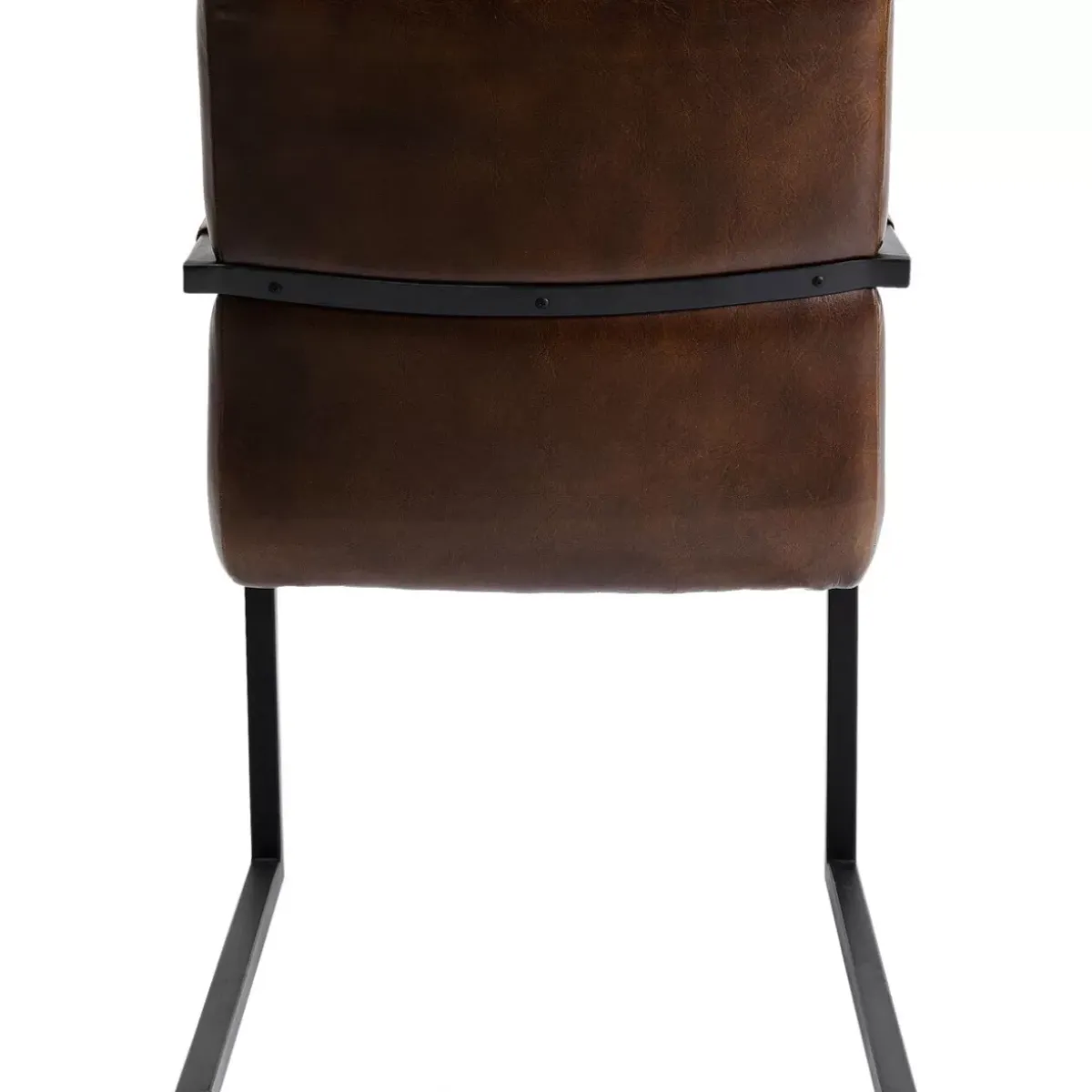 Freischwinger Lola Leder Braun Stühle