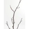 Discount Garderobenstander Tree Branch 183Cm Kleinmöbel & Sonstiges