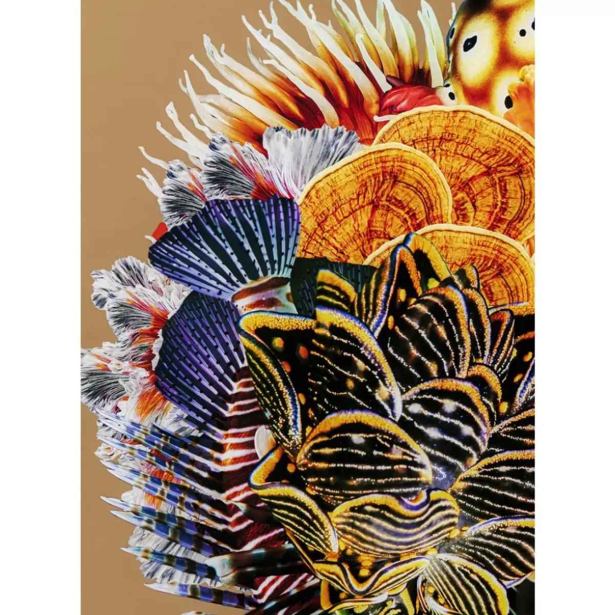 Outlet Gerahmtes Bild Flower Hair 120X120Cm Bilder